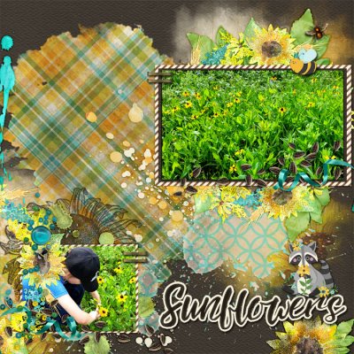 cmg_sunflowersayingSDD_MFish_BlendedBeauties700