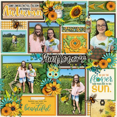 sunflower sayings