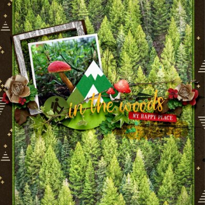 InTheWoods1