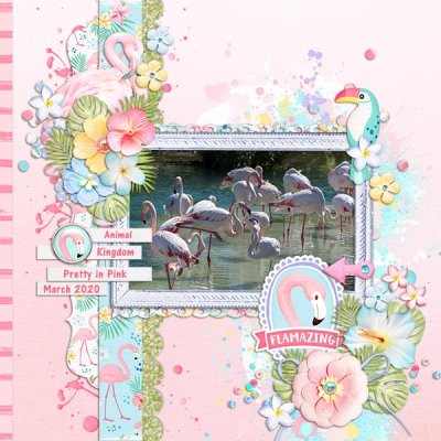 Flamazing Flamingos