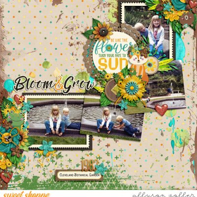 Bloom and Grow