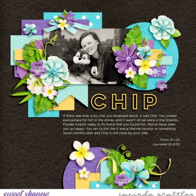 Chip