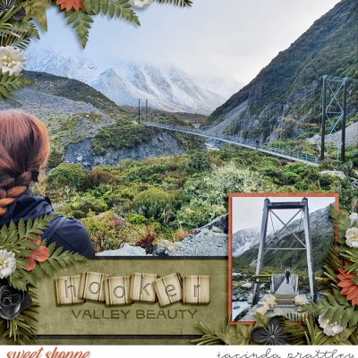 Hooker Valley beauty
