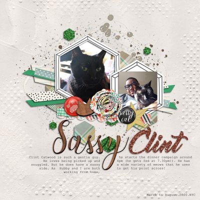 Wildcard: August 2020  - Sassy Clint