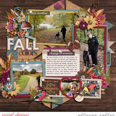 Fall Colors