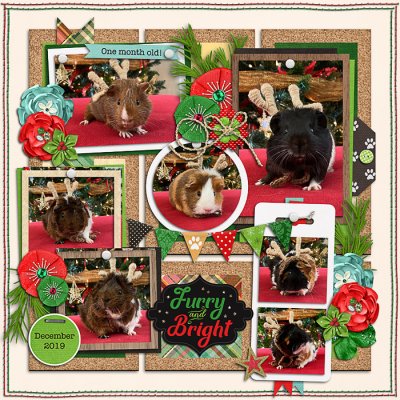 Christmas Cuties