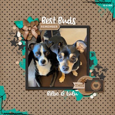 Best Buds
