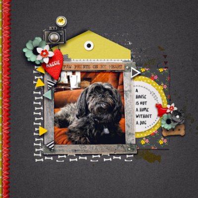 PawPrintsOnMyHeart