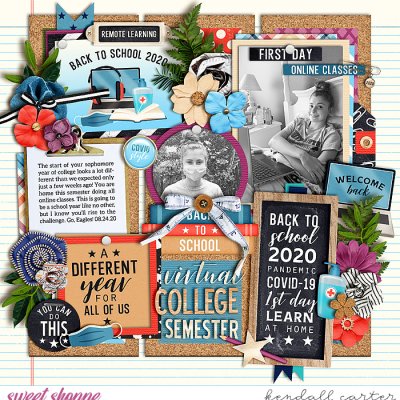 Virtual Semester
