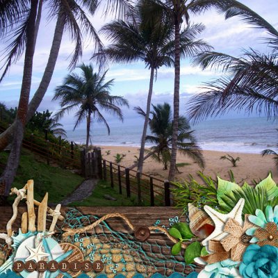 #15. We Used to Live in Paradise