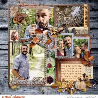 Beautiful Fall