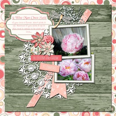 Love of Flowers