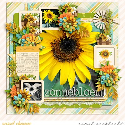 Zonnebloem