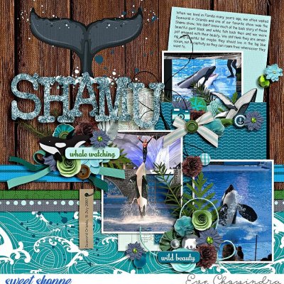 shamu