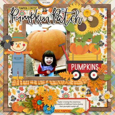 Biggest Pumpkin in the Patch