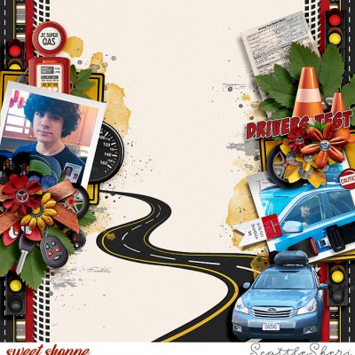 Drivers Test
