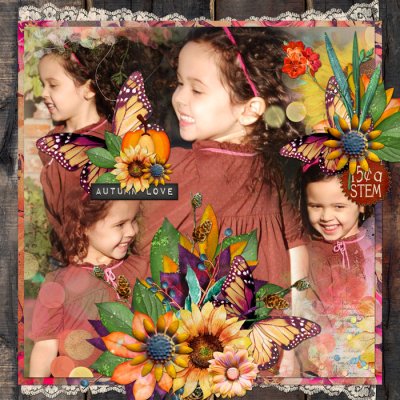 Autumn Love