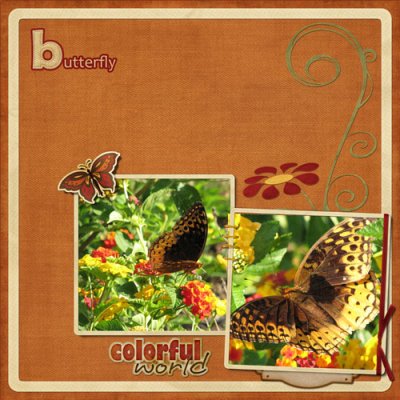 Butterfly