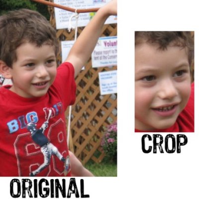 Creative Crops