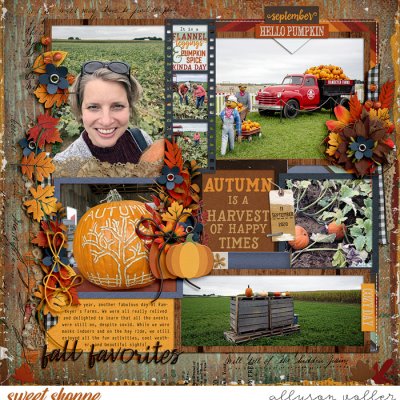 Fall Favorites