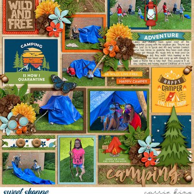 LJS-Happy-Camper-_CS-PP-92_