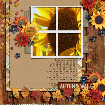 Autumn Walk - Wild Card Challenge