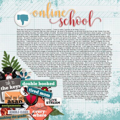 Online School