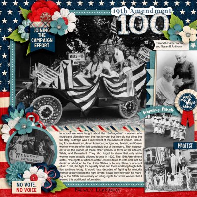 19th Amendment at 100