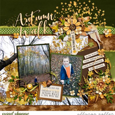 Autumn Walk
