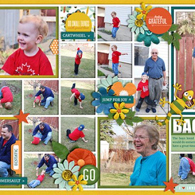 Backyard Fun