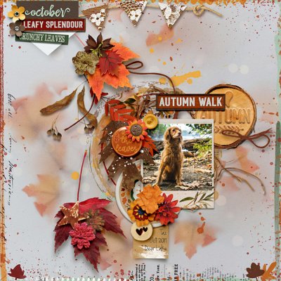 AutumnWalk