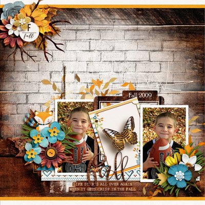 Autumn Memories 2009