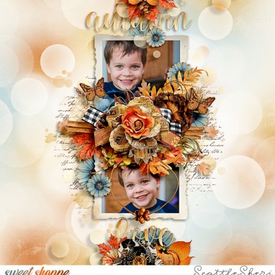 Autumn Love
