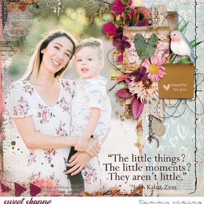 Little Moments