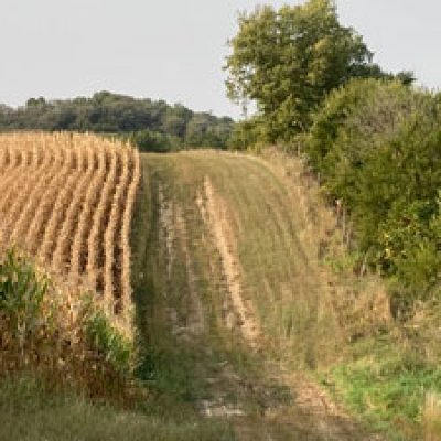 IMG_0224