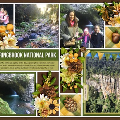 Springbrook National Park