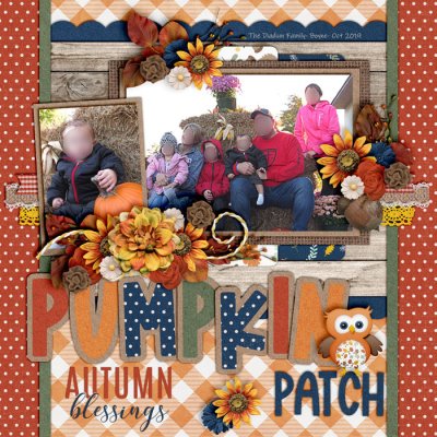 Pumpkin patch