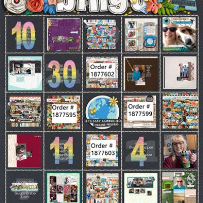 DSD Bingo Card
