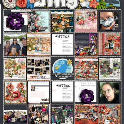 Finished DSD Bingo