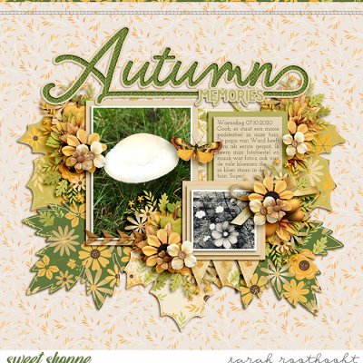 Autumn Memories