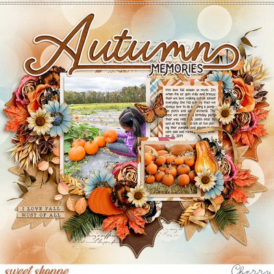 Autumn Memories