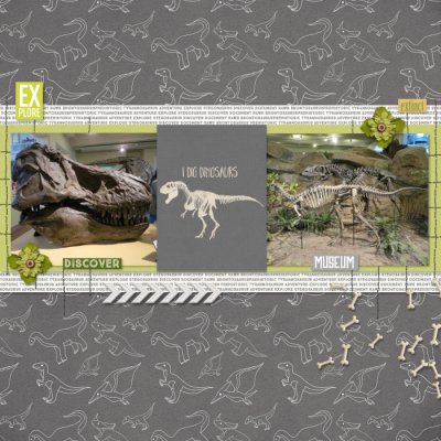 I Dig Dinosaurs