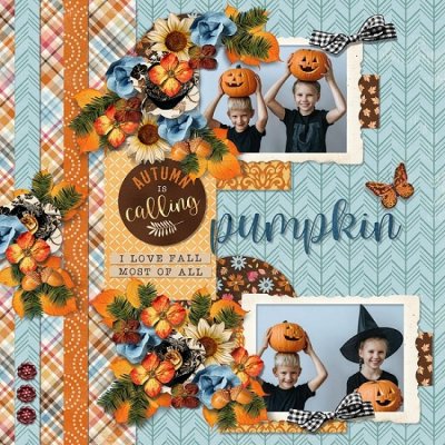 Fall memories