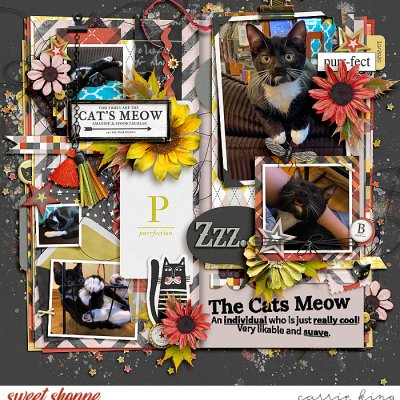 The Cat's Meow