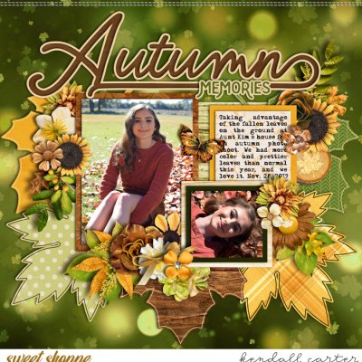 Autumn Memories