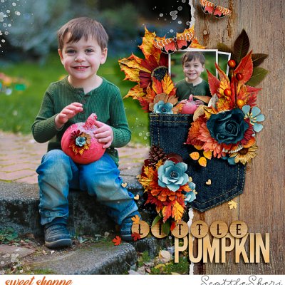 Little Pumpkin