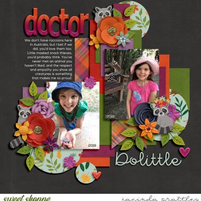 Dr Dolittle