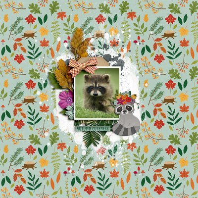 RockyRaccoonTracy