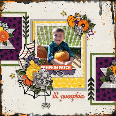 Lil Pumpkin