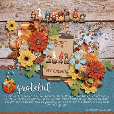 Gratitude Album Day 2 My Friends